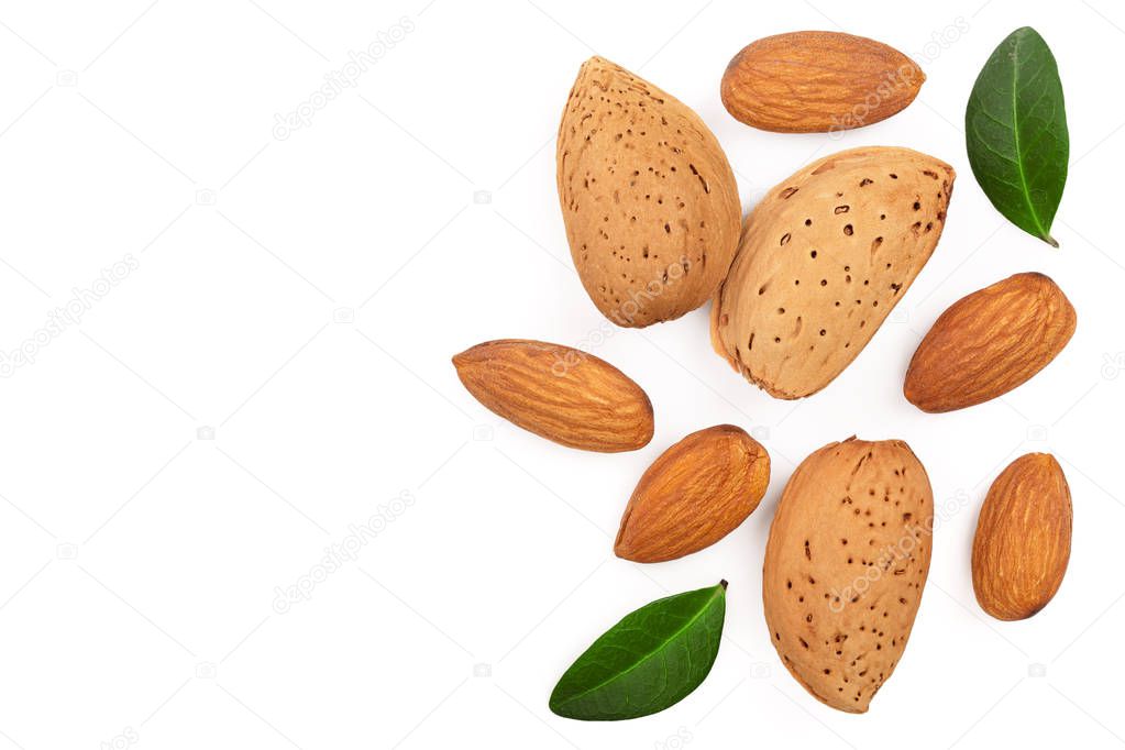 almonds with leaves isolated on white background with copy space for your text. Top view. Flat lay pattern