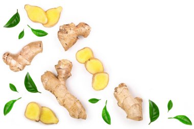 taze zencefil kökü ve kopya alanı metniniz için beyaz zemin üzerine izole dilim. Üstten görünüm. Düz yatıyordu