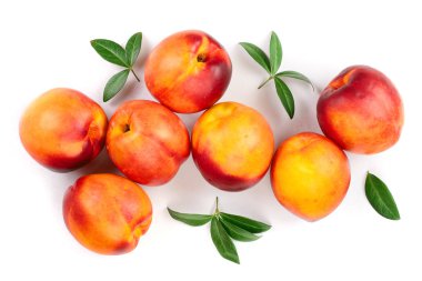 Olgun nektarin ile izole üzerinde beyaz arka plan bırakır. Üstten görünüm. Düz yatıyordu desen