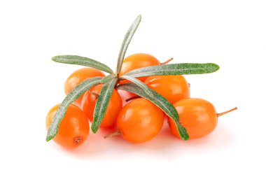 Deniz topalak. Beyaz arka plan makro'izole yaprakları ile taze olgun berry