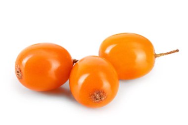 Deniz topalak. Beyaz arka plan makro'izole taze olgun berry