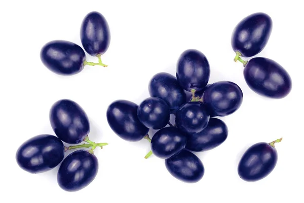 Raisins bleus isolés sur le fond blanc. Vue de dessus. Modèle de pose plat — Photo