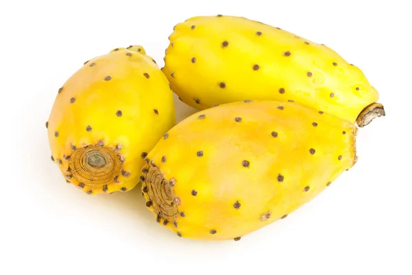 Gula fikonkaktus eller opuntia isolerad på en vit bakgrund — Stockfoto