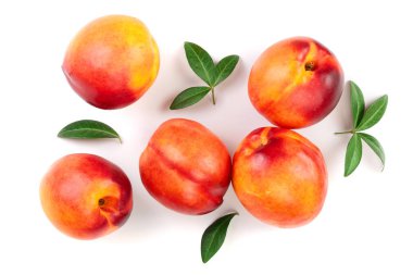 Olgun nektarin ile izole üzerinde beyaz arka plan bırakır. Üstten görünüm. Düz yatıyordu desen