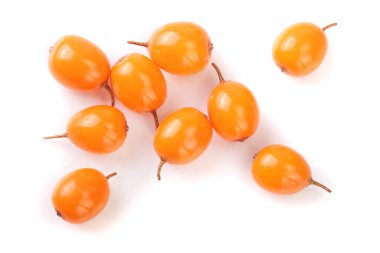 Deniz topalak. Beyaz arka plan üzerinde izole taze olgunlaşmış meyve. Üstten görünüm. Düz yatıyordu desen