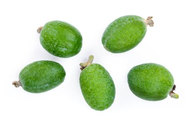 Beyaz arka plan üzerinde izole tropikal meyve feijoa kaymak ağacı. Üstten görünüm. Düz yatıyordu desen