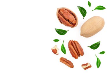 pekan somun beyaz arka plan üzerinde izole yeşil yaprakları ile dekore edilmiştir. Üstten görünüm. Düz yatıyordu