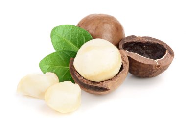 Kabuklu ve unshelled macadamia fıstığı ile yaprakları üzerinde izole beyaz arka plan