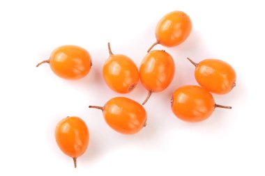 Deniz topalak. Beyaz arka plan üzerinde izole taze olgunlaşmış meyve. Üstten görünüm. Düz yatıyordu desen