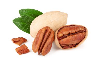 pecan nut with green leaves isolated on white background clipart