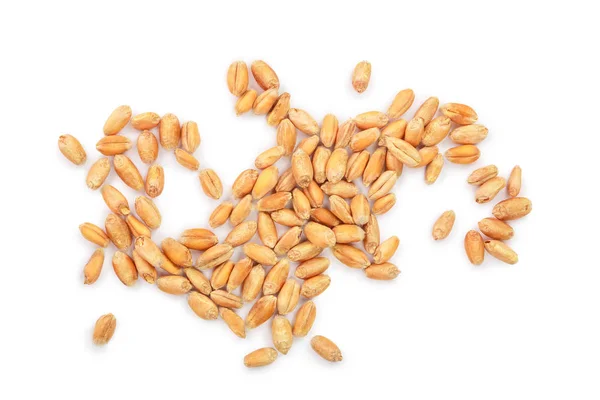 Pšeničná zrna izolovaných na bílém pozadí. Pohled shora — Stock fotografie