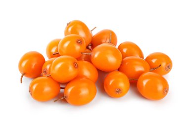 Deniz topalak. Beyaz arka plan makro'izole taze olgun berry