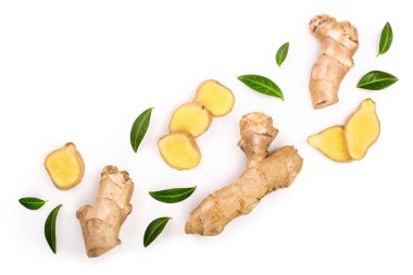 taze zencefil kökü ve kopya alanı metniniz için beyaz zemin üzerine izole dilim. Üstten görünüm. Düz yatıyordu