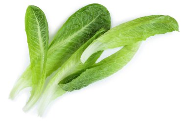 taze Roma cos marul üzerinde beyaz bir arka plan izole. Üstten görünüm. Düz yatıyordu