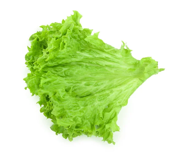 Лист салата, выделенный на белом фоне — стоковое фото