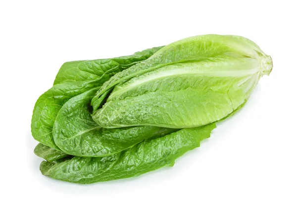 Fresh roman cos lettuce isolated on a white background — Stock Photo, Image