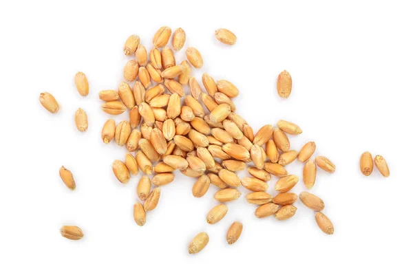 Зерна пшениці ізольовані на білому тлі. Вид зверху — стокове фото