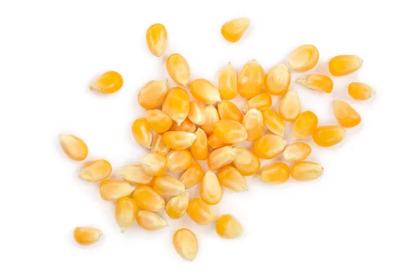 Beyaz arka plan üzerinde izole Mısır tohumları. Üstten görünüm. Düz yatıyordu