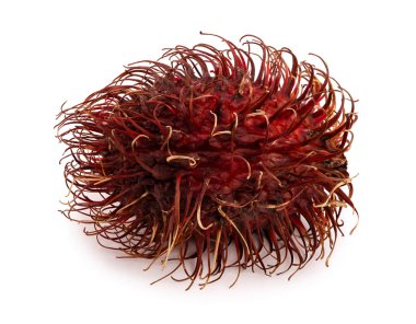 Beyaz arka plan üzerinde izole rambutan. Tropikal meyve. Nephelium lappaceum