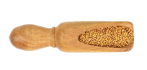 Graines de moutarde jaune dans une cuillère en bois isolée sur fond blanc, vue de dessus — Photo