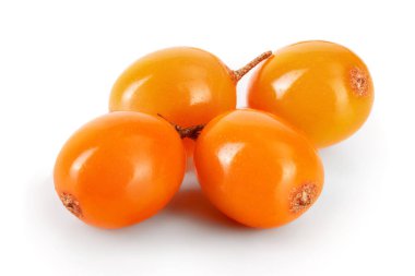 Deniz topalak. Beyaz arka plan makro'izole taze olgun berry