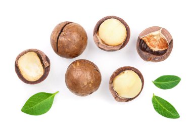 Kabuklu ve unshelled macadamia fıstığı ile izole üzerinde beyaz arka plan bırakır. Üstten görünüm. Düz yatıyordu desen