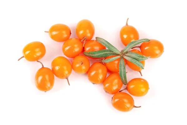 Sea buckthorn. Fresh ripe berry with leaves isolated on white background. Top view. Flat lay pattern — Stock Photo, Image