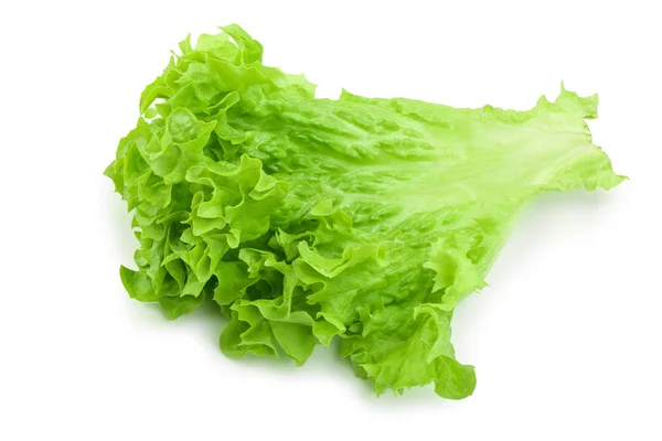 Salatblatt isoliert auf weißem Hintergrund Nahaufnahme — Stockfoto