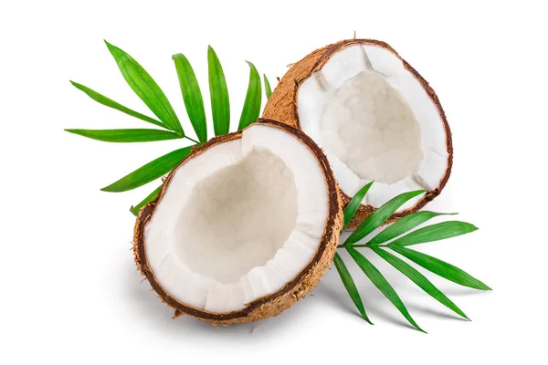 Moitié de noix de coco avec des feuilles isolées sur fond blanc — Photo