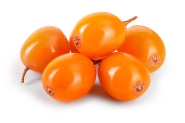 Deniz topalak. Beyaz arka plan makro'izole taze olgun berry