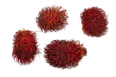 Beyaz arka plan üzerinde izole rambutan. Tropikal meyve. Nephelium lappaceum. Üstten görünüm. Düz yatıyordu