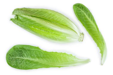 taze Roma cos marul üzerinde beyaz bir arka plan izole. Üstten görünüm. Düz yatıyordu