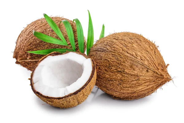Kokosnuss mit Blättern isoliert auf weißem Hintergrund — Stockfoto