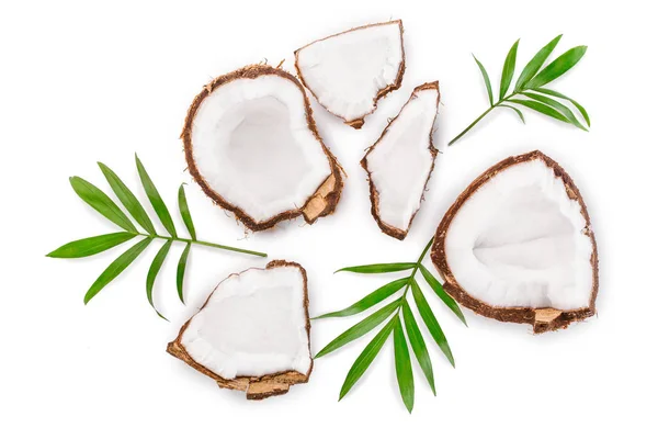 Kokosnöt med blad isolerad på vit bakgrund. Ovanifrån. Lekmanna-platt — Stockfoto