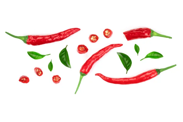 Red hot chili paprika elszigetelt fehér háttér, a szöveg másol hely. Felülnézet. Lapos laikus mintát — Stock Fotó