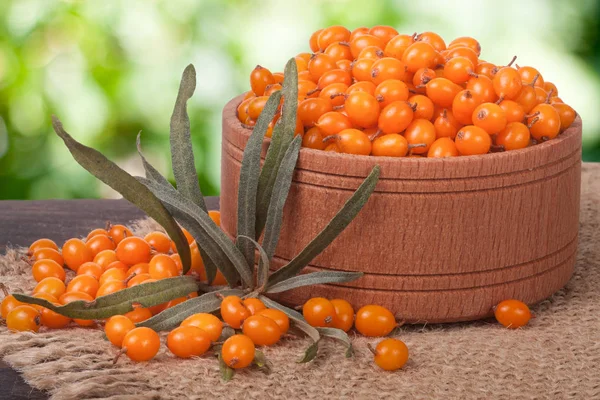 Sea-buckthorn berries in a wooden bowl on table with blurred garden background — Stock Photo, Image