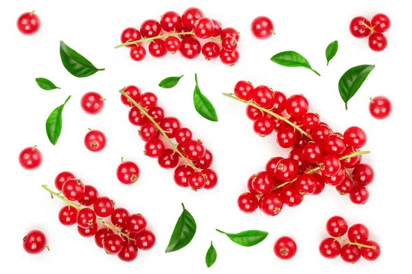 Red currant berry isolated on white background. Top view. Flat lay pattern — Stock Photo, Image