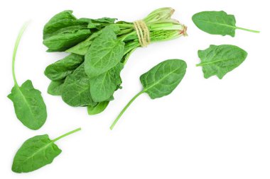 taze ıspanak kopya alanı metniniz için beyaz zemin üzerine izole. Üstten Görünüm. Düz yatıyordu