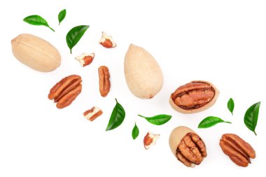 pekan somun beyaz arka plan üzerinde izole yeşil yaprakları ile dekore edilmiştir. Üstten görünüm. Düz yatıyordu