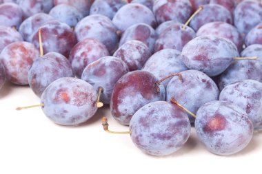 Beyaz bir arka plan üzerinde izole mavi Erik yığını