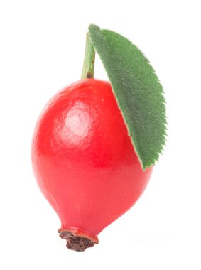 Beyaz zemin üzerinde yaprak izole gül kalça üzümü