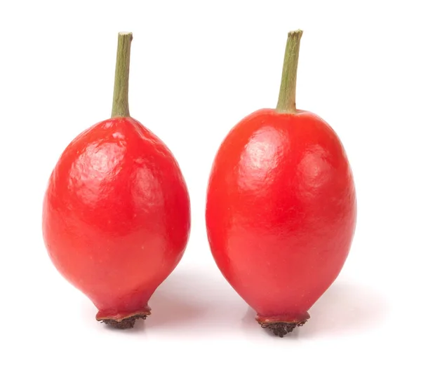 Två nypon berry isolerad på vit bakgrund — Stockfoto