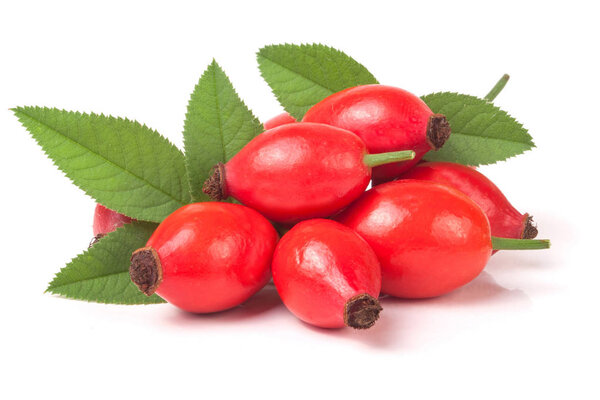 rose hip berry with leaves isolated on white background