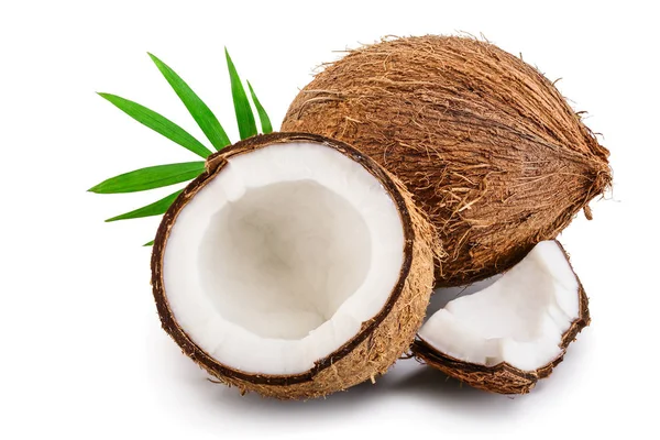 Kokosnuss mit Blättern isoliert auf weißem Hintergrund — Stockfoto