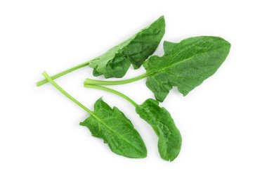taze ıspanak üzerinde beyaz arka plan izole. Üstten Görünüm. Düz yatıyordu