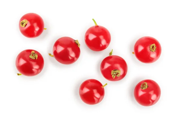 Piros ribizli berry elszigetelt fehér background. Felülnézet. Lapos laikus mintát — Stock Fotó