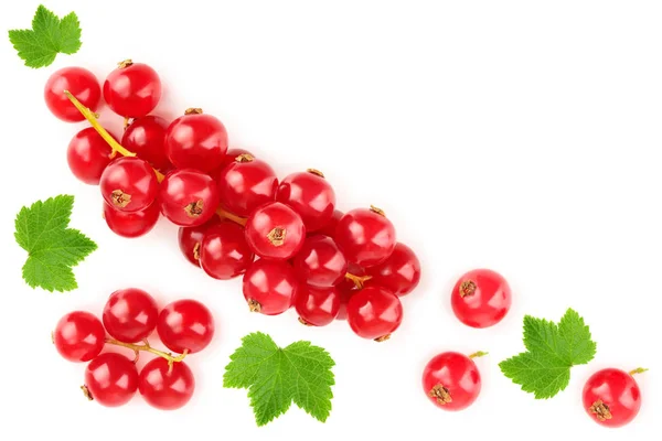 Bacca di ribes rosso isolata su sfondo bianco con spazio di copia per il testo. Vista dall'alto. Modello di posa piatta — Foto Stock