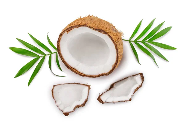 Kokosnuss mit Blättern auf weißem Hintergrund. Ansicht von oben. flache Lage — Stockfoto