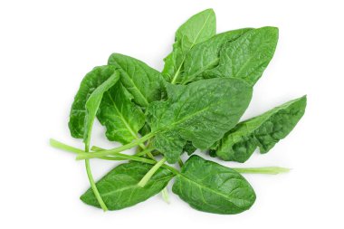 taze ıspanak üzerinde beyaz arka plan izole. Üstten Görünüm. Düz yatıyordu