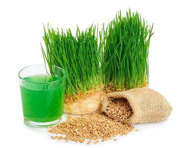 buğday çimi suyu ile beyaz zemin üzerine izole filizlenmiş buğday